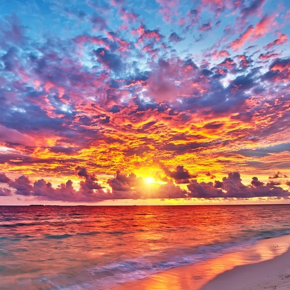 Meet your Posher, Katelyn - Picture 1 of 1